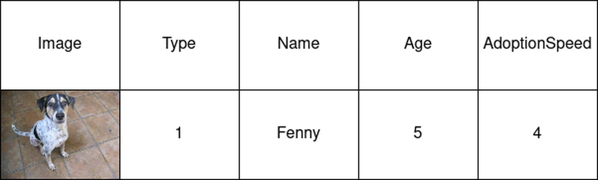 Example of a pet from the PetFinder dataset [14]. Fenny is a 5-year-old dog (Type 1) that has not been adopted within 100 days (AdoptionSpeed 4)